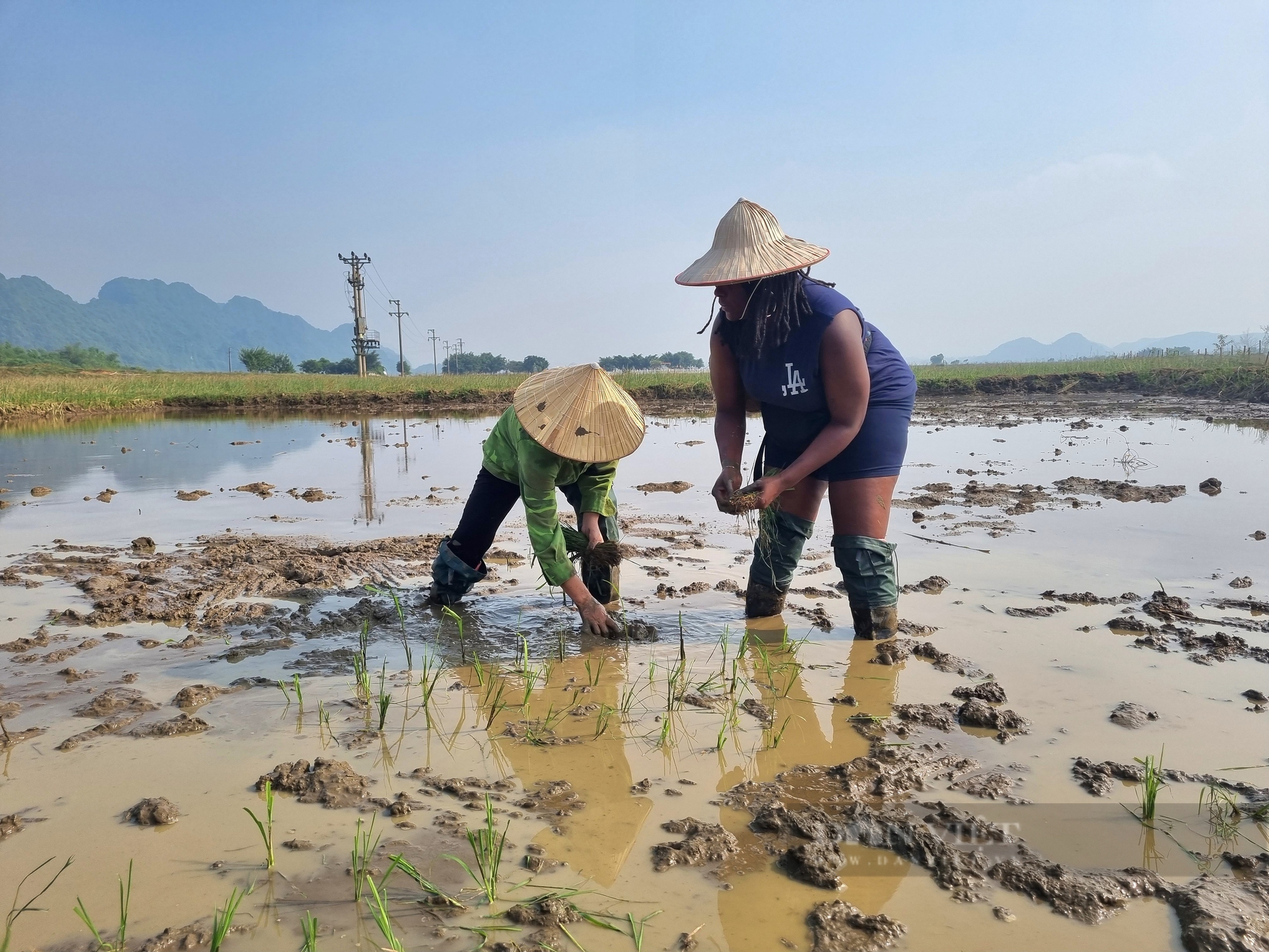 Ngỡ ngàng 17 cô gái người Mỹ làm công việc đồng áng tại Ninh Bình - Ảnh 4.