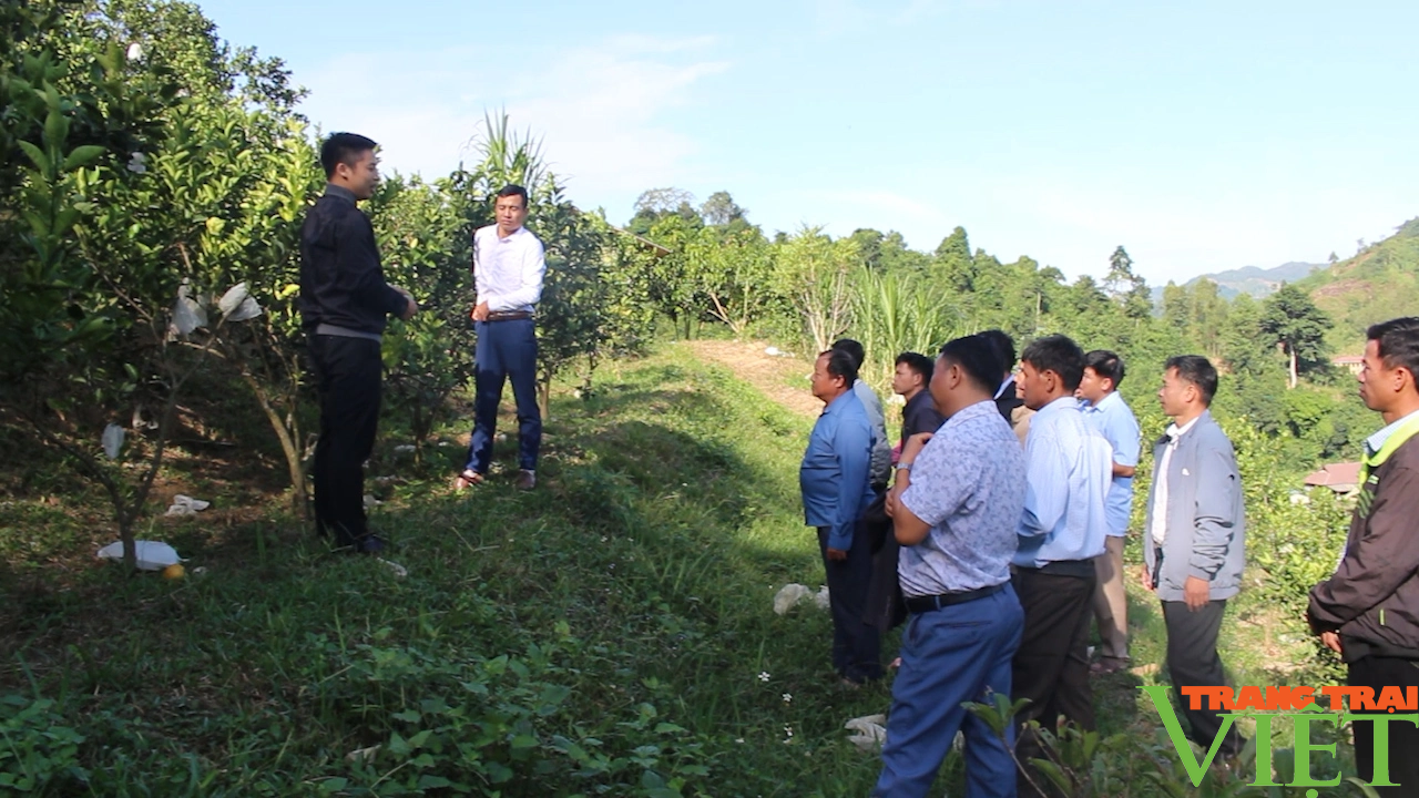 Hiệu quả hoạt động câu lạc bộ "nông dân với pháp luật" ở vùng cao Sơn La - Ảnh 3.