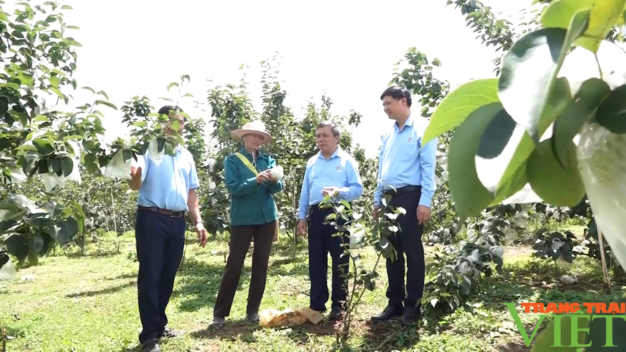 Nâng cao kiến thức, kỹ năng tuyên truyền cho nông dân trong xây dựng NTM - Ảnh 2.