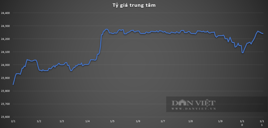 Giá USD hôm nay 3/11: Tỷ giá trung tâm giảm 10 đồng sau 1 tuần, tỷ giá "chợ đen'' tăng cao- Ảnh 2.