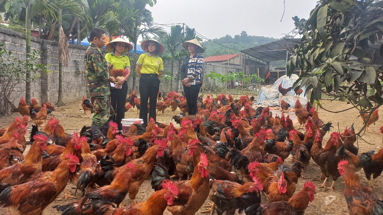 Thái Nguyên kiện toàn quỹ hỗ trợ nông dân để phát huy hiệu quả nguồn vốn vay - Ảnh 2.