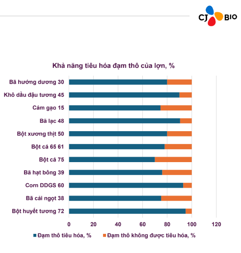 Loại thức ăn gì giúp người chăn nuôi "bỏ túi" thêm 200 triệu đồng mỗi 1000 con lợn  - Ảnh 2.