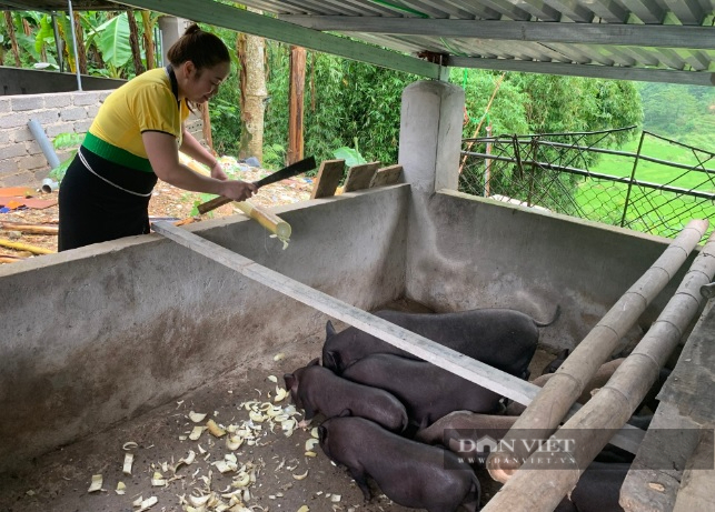 Phát huy vai trò của xây dựng kinh tế tập thể, nâng cao đời sống hội viên nông dân Hòa Bình- Ảnh 3.