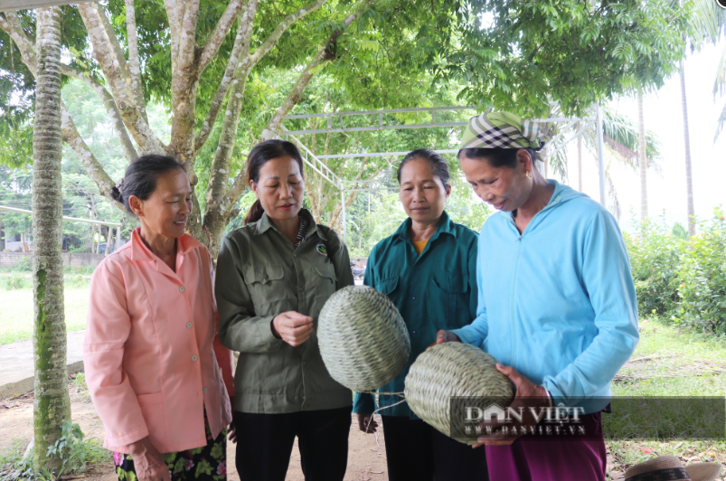 Phát huy vai trò của xây dựng kinh tế tập thể, nâng cao đời sống hội viên nông dân Hòa Bình- Ảnh 4.