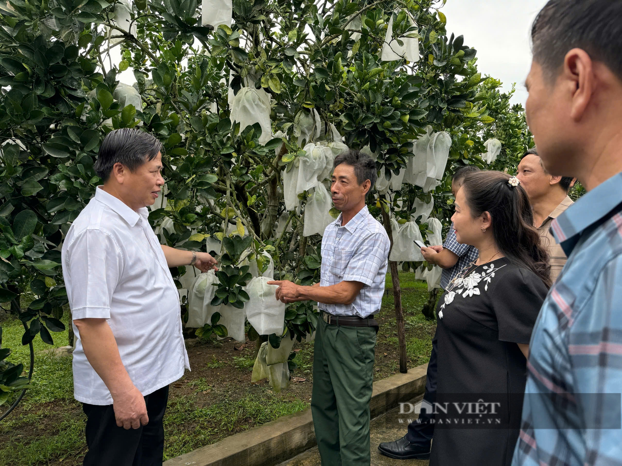 Phát huy vai trò của xây dựng kinh tế tập thể, nâng cao đời sống hội viên nông dân Hòa Bình- Ảnh 2.