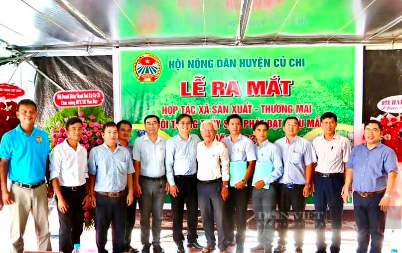 Hỗ trợ phát triển hợp tác xã gắn xây dựng nông thôn mới - Ảnh 1.