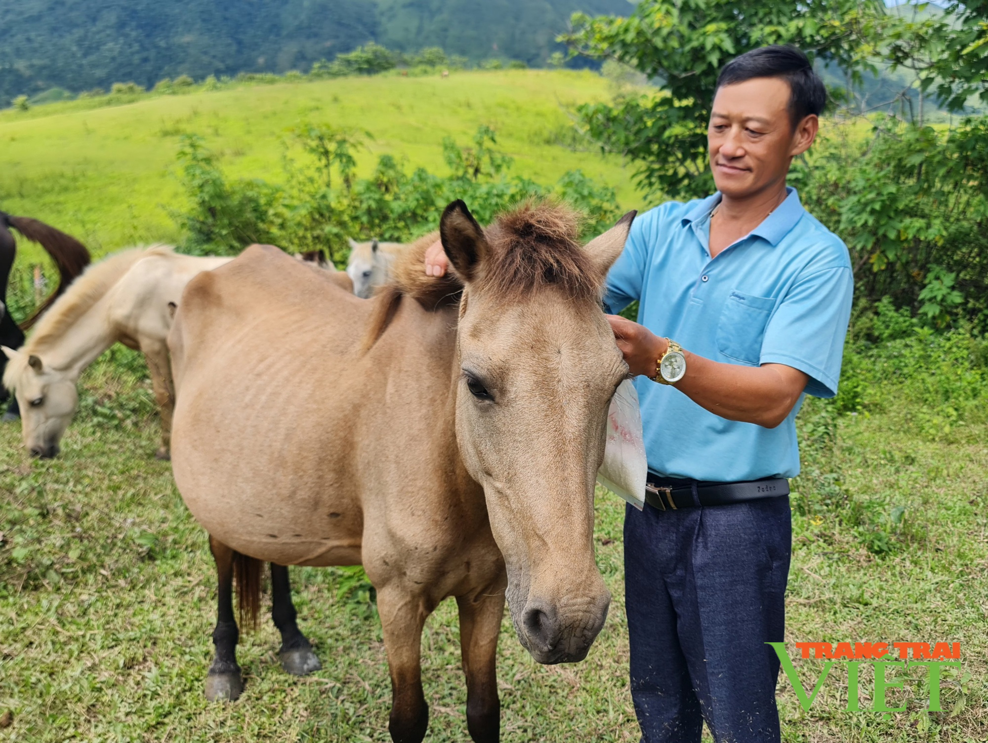 Từ đôi bàn tay trắng, nông dân Nậm Pồ xây dựng cuộc sống mới - Ảnh 1.