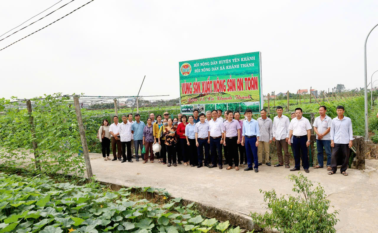 Ninh Bình: Nông dân tham quan HTX sản xuất, tiêu thụ nông sản an toàn, thu 600 triệu đồng/ha/năm- Ảnh 1.