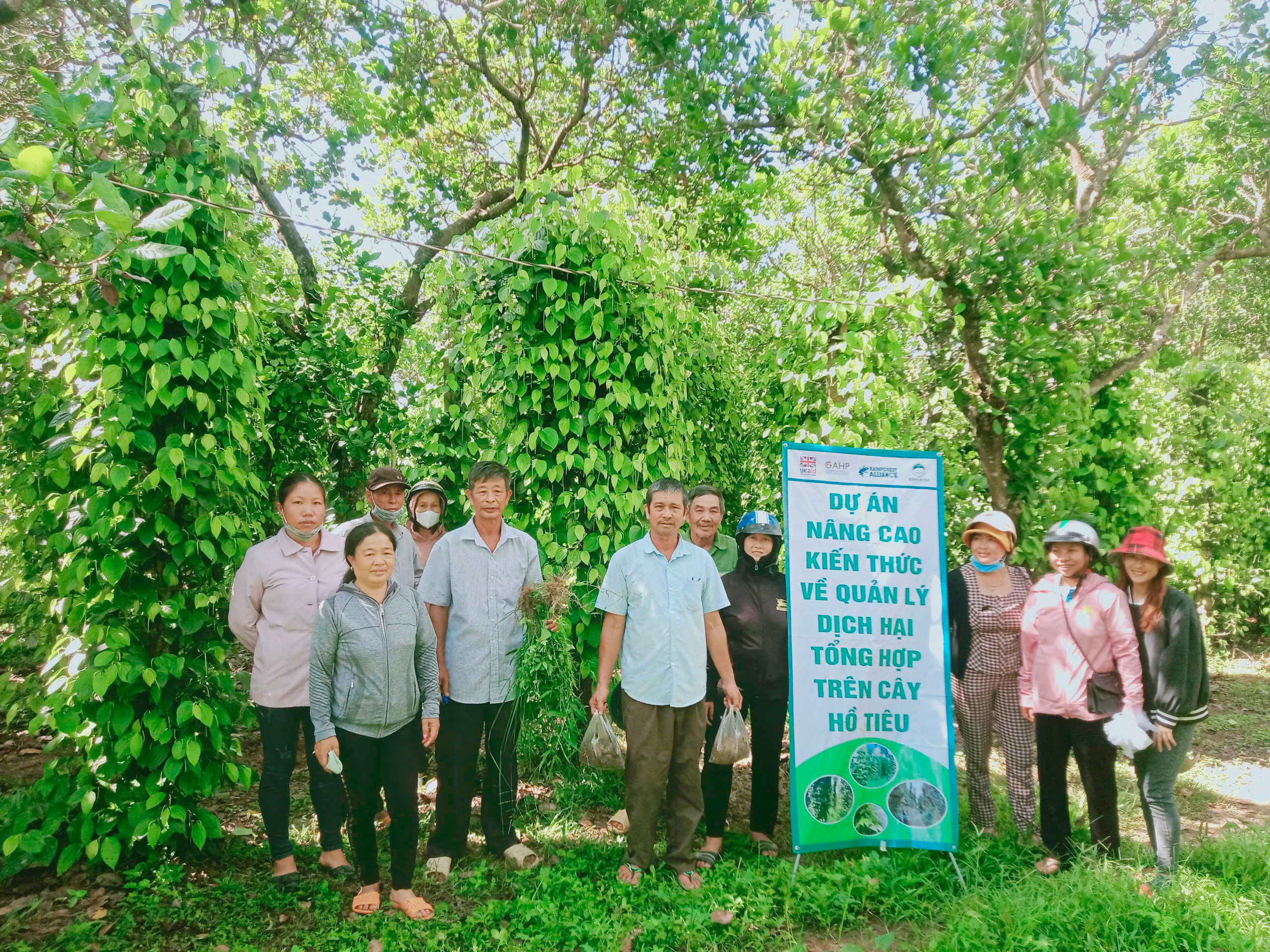 Nông dân Đắk Nông chuyển mạnh sang canh tác hồ tiêu bền vững, chú trọng giảm nước, giảm phân bón - Ảnh 2.