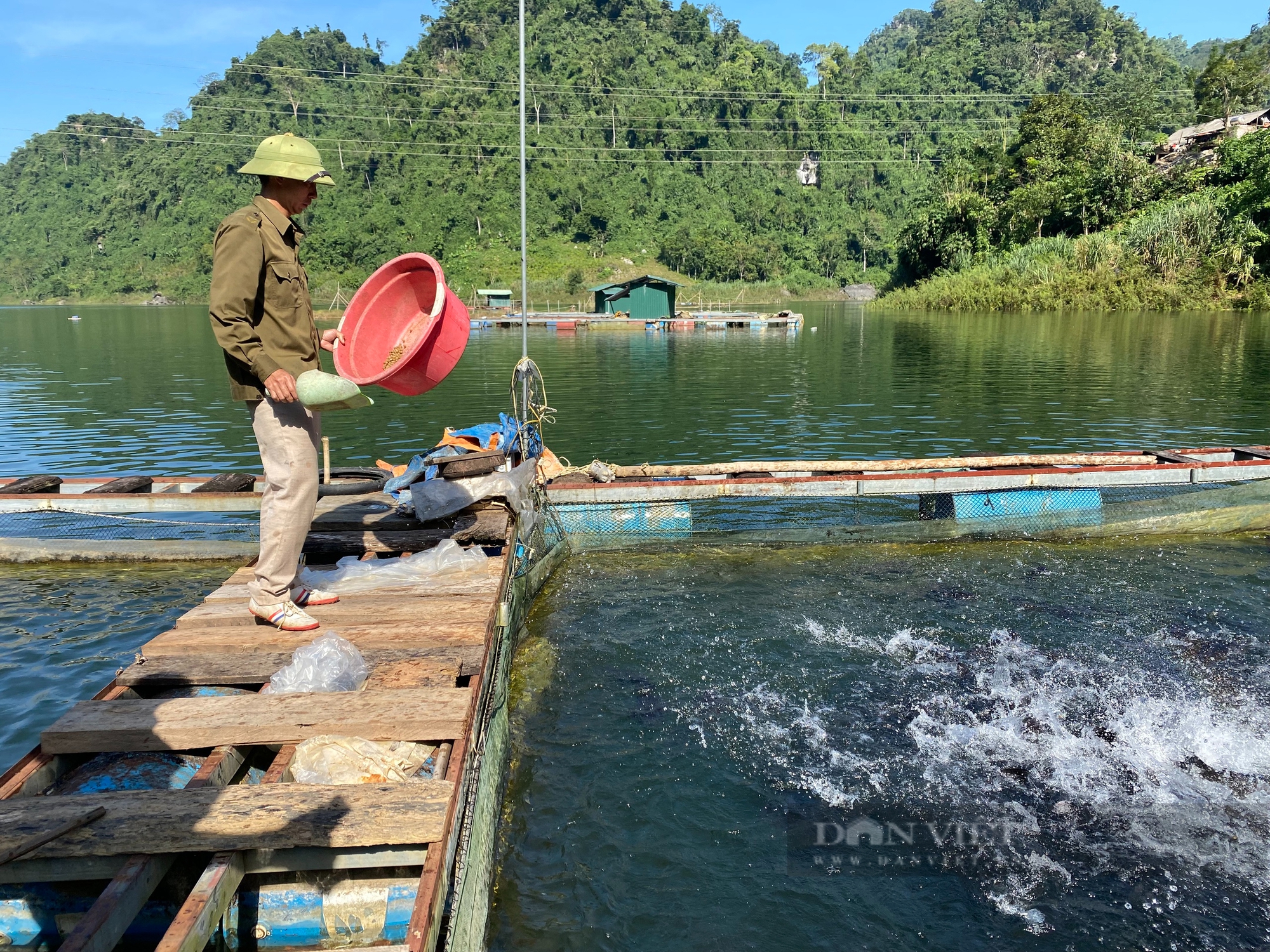 Hủy diệt thế giới của “Vua Thủy Tề” (Bài 4): Lời giải cho bài toán chống nạn kích cá- Ảnh 8.