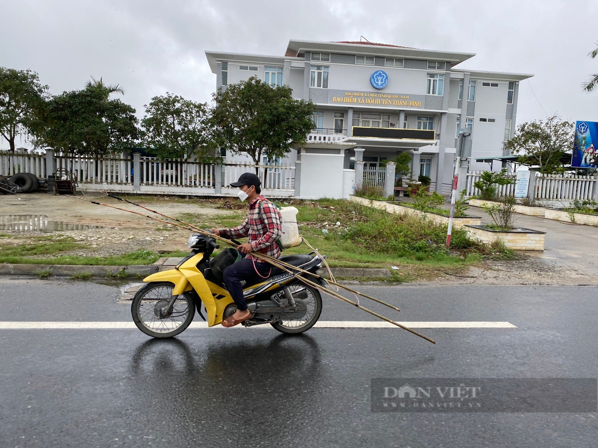 Hủy diệt thế giới của “Vua Thủy Tề” (Bài 4): Lời giải cho bài toán chống nạn kích cá- Ảnh 11.