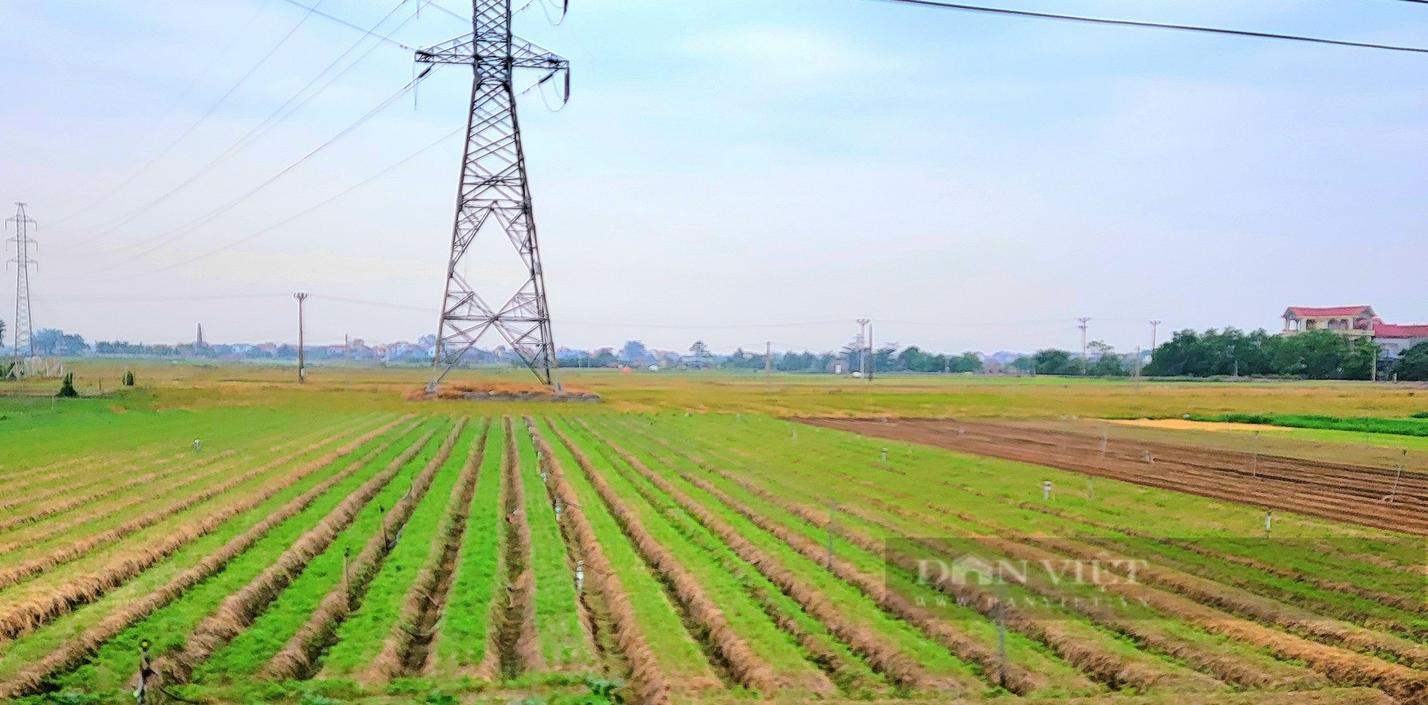 Nông dân Hải Dương biến rơm rạ thành hàng hoá hữu ích trong sản xuất nông nghiệp tuần hoàn- Ảnh 6.