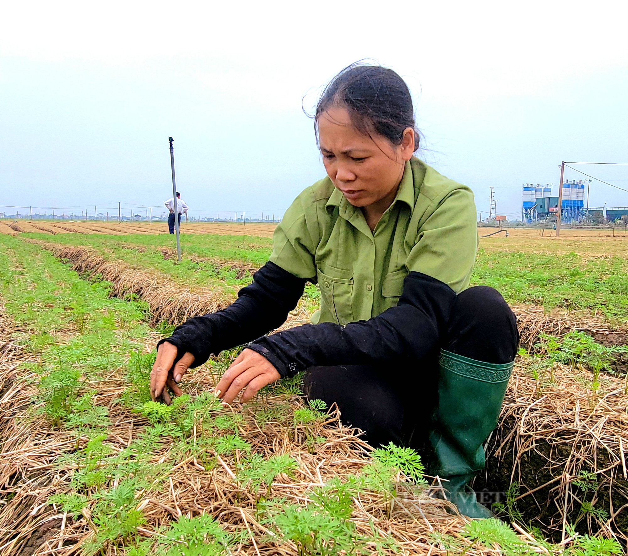 Nông dân Hải Dương biến rơm rạ thành hàng hoá hữu ích trong sản xuất nông nghiệp tuần hoàn- Ảnh 8.