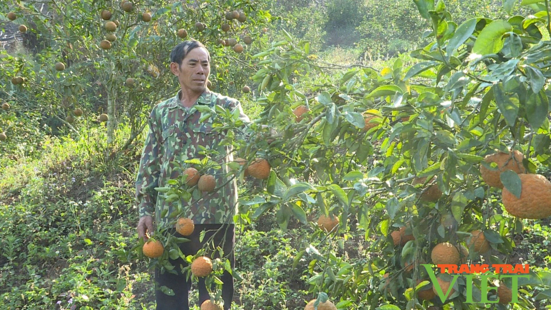 Từ đôi bàn tay trắng, nông dân Nậm Pồ xây dựng cuộc sống mới - Ảnh 2.