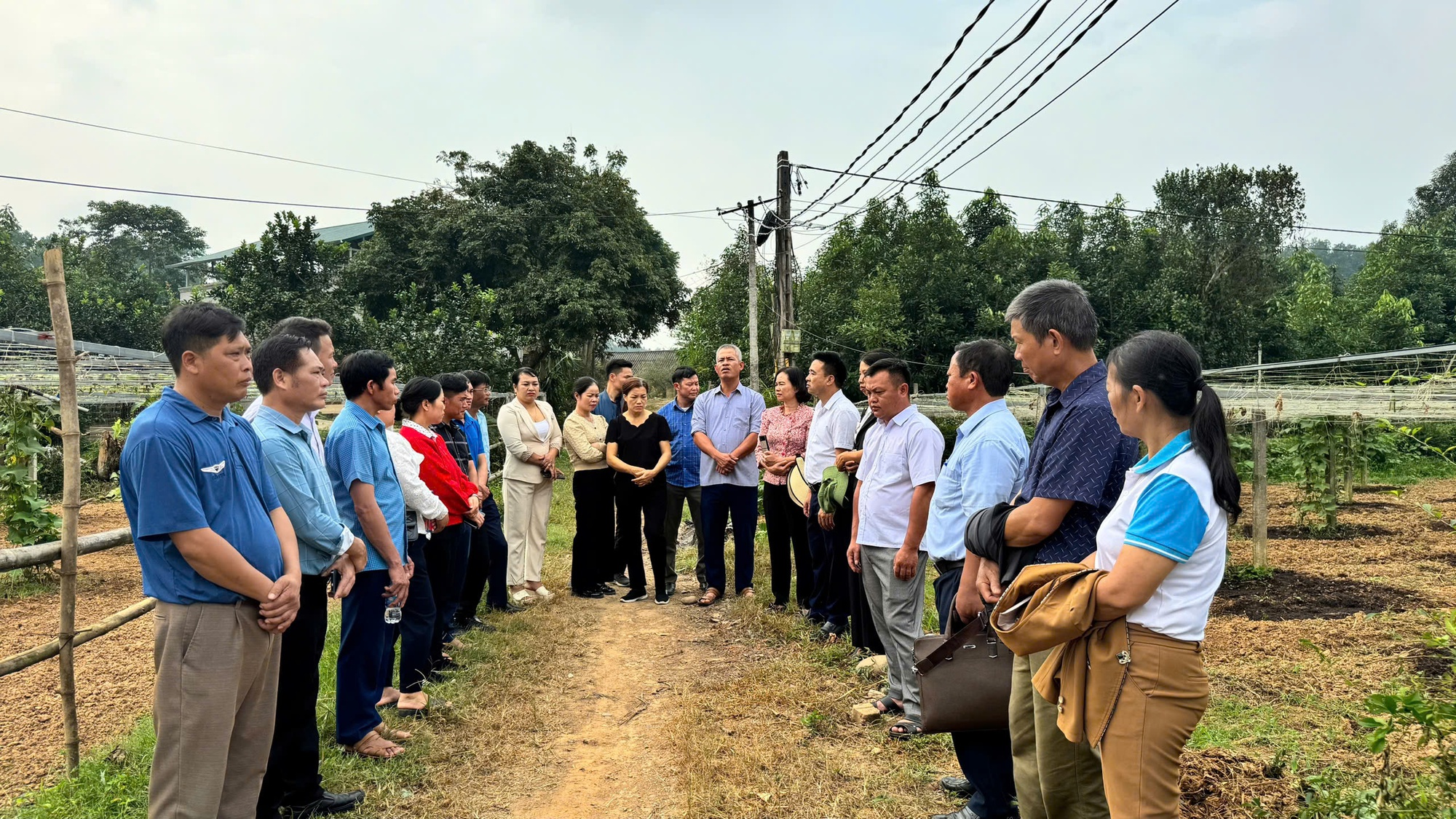 Lào Cai: Nâng cao năng lực quản lý cho HTX, tổ hợp tác sản xuất nông nghiệp - Ảnh 3.