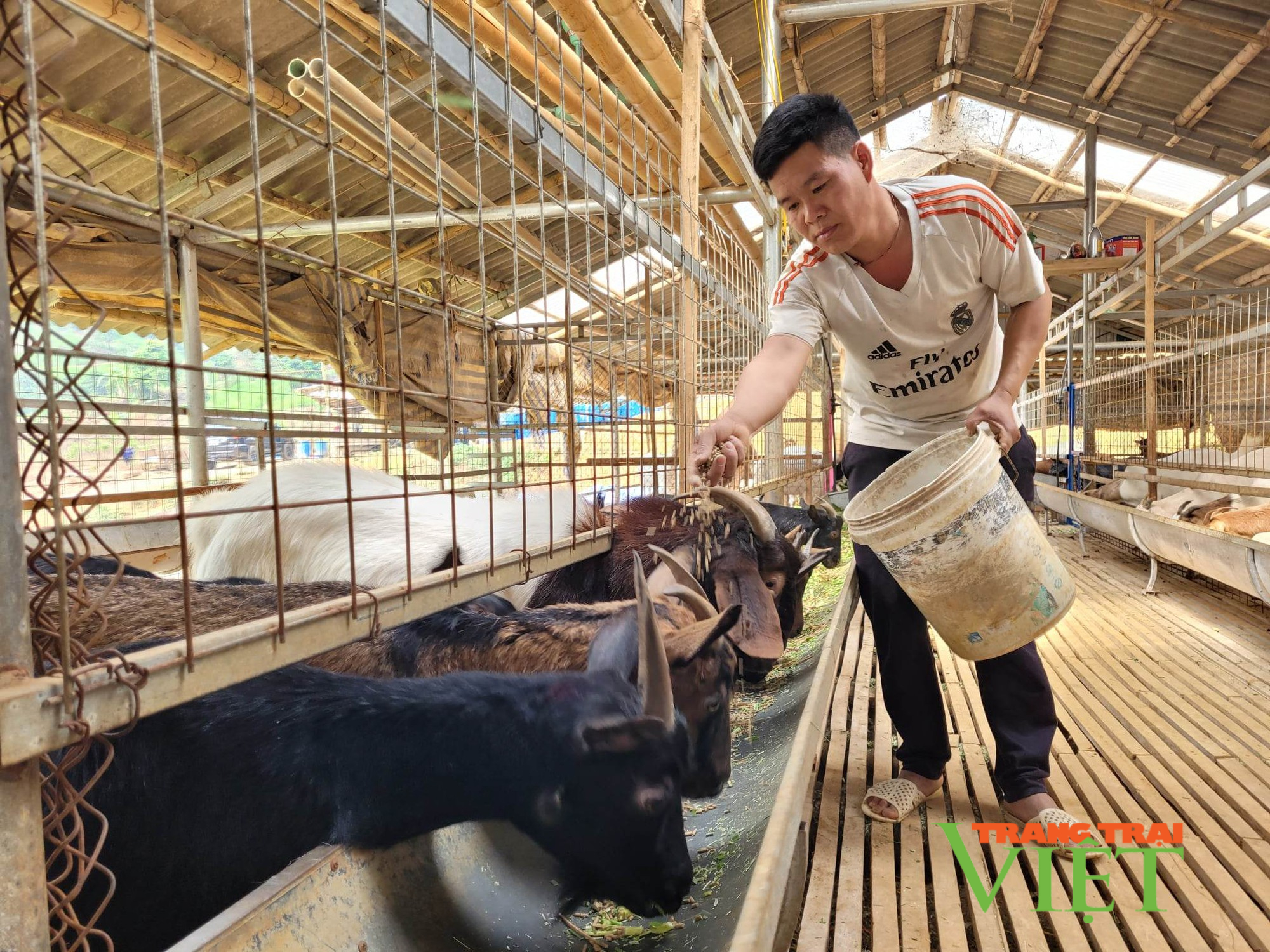 Chương trình Mục tiêu Quốc gia: "Chìa khóa" mở cánh cửa thoát nghèo ở Tủa Chùa - Ảnh 2.