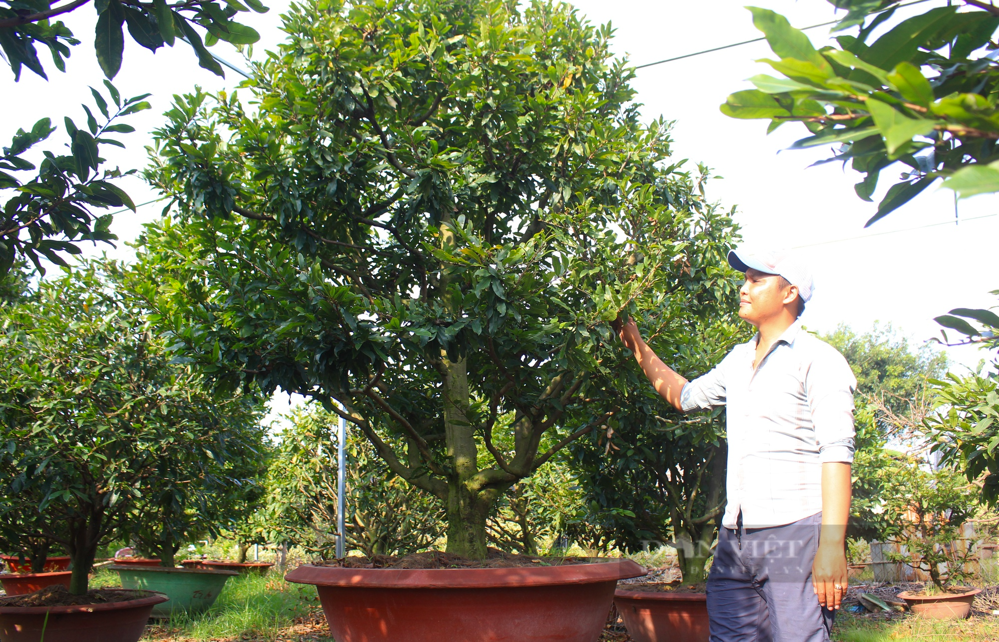 Đề xuất tiếp tục thực hiện chính sách khuyến khích chuyển dịch cơ cấu nông nghiệp đô thị để xây dựng nông thôn mới TP.HCM - Ảnh 1.