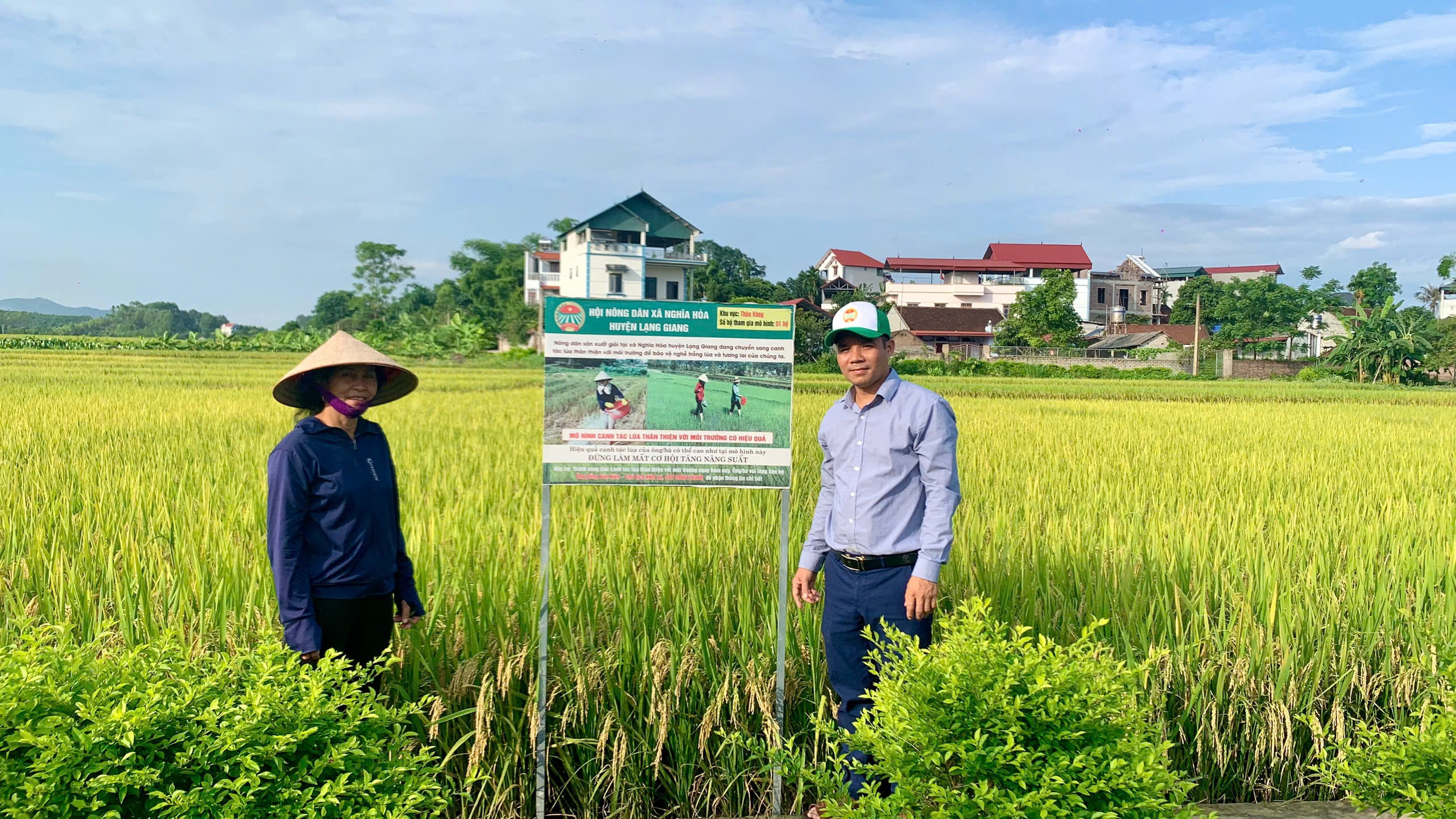 Chủ tịch Hội Nông dân xã ở Bắc Giang có cách làm hay vận động nông dân canh tác lúa thân thiện với môi trường - Ảnh 1.