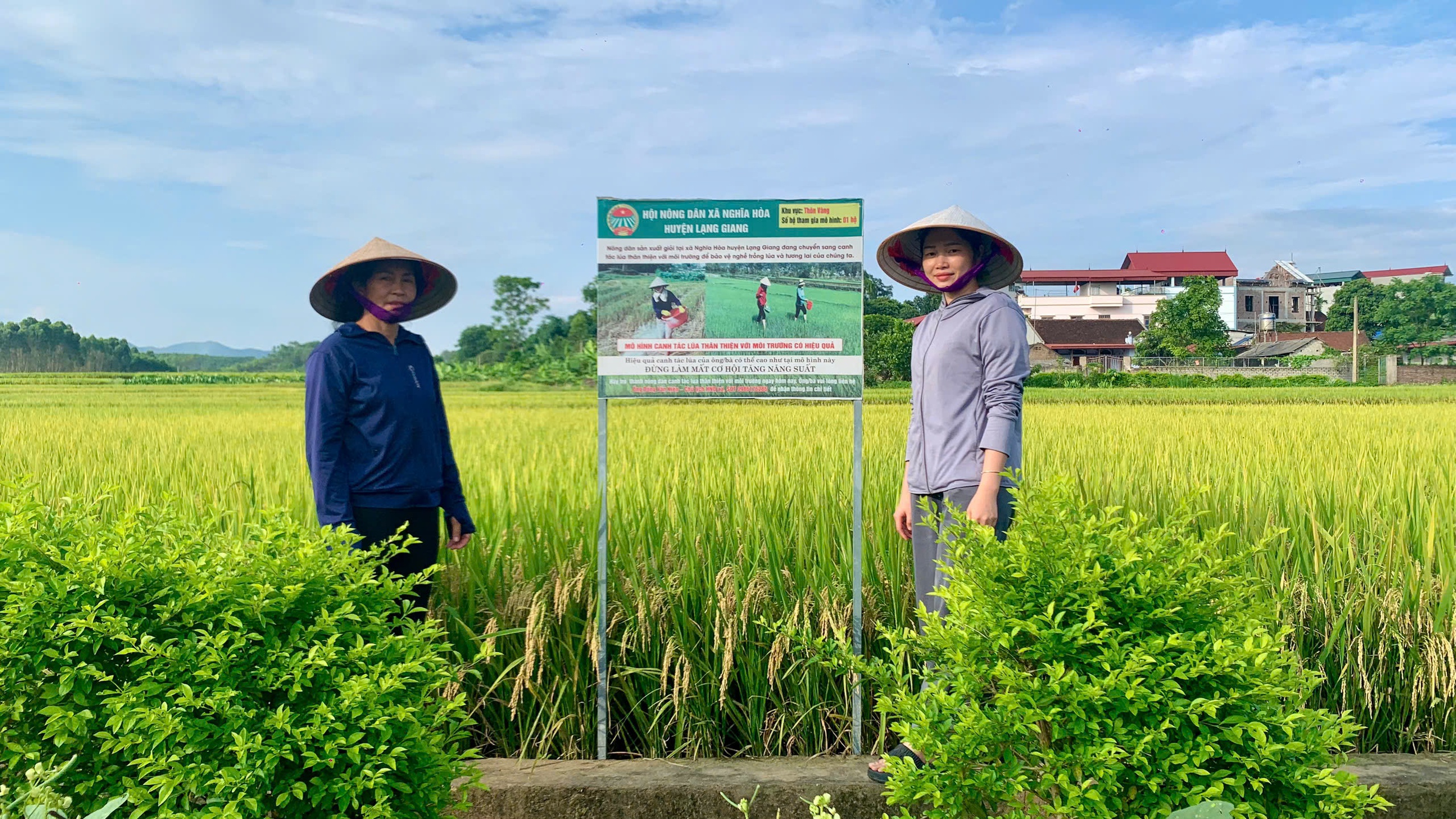 Chủ tịch Hội Nông dân xã ở Bắc Giang có cách làm hay vận động nông dân canh tác lúa thân thiện với môi trường - Ảnh 4.