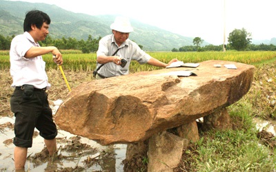 Chim trĩ đỏ, động vật hoang dã nằm trong sách Đỏ nuôi thành công ở Bình Định, 300.000 đồng/kg - Ảnh 5.