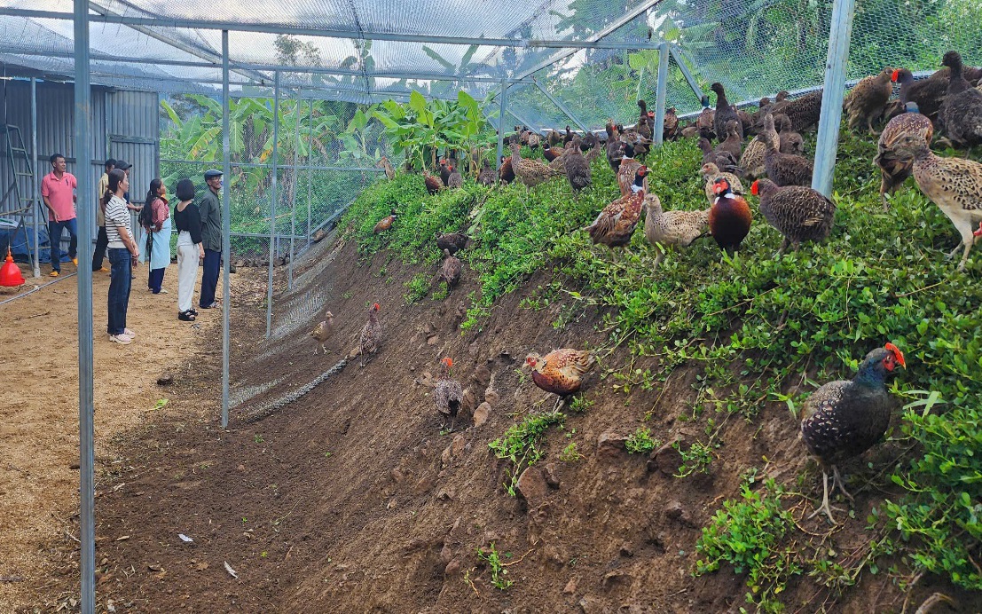 Bắt la liệt cá linh, cá đồng, tôm sông mùa nước nổi An Giang, sao vẫn lo con nước bất thường? - Ảnh 12.