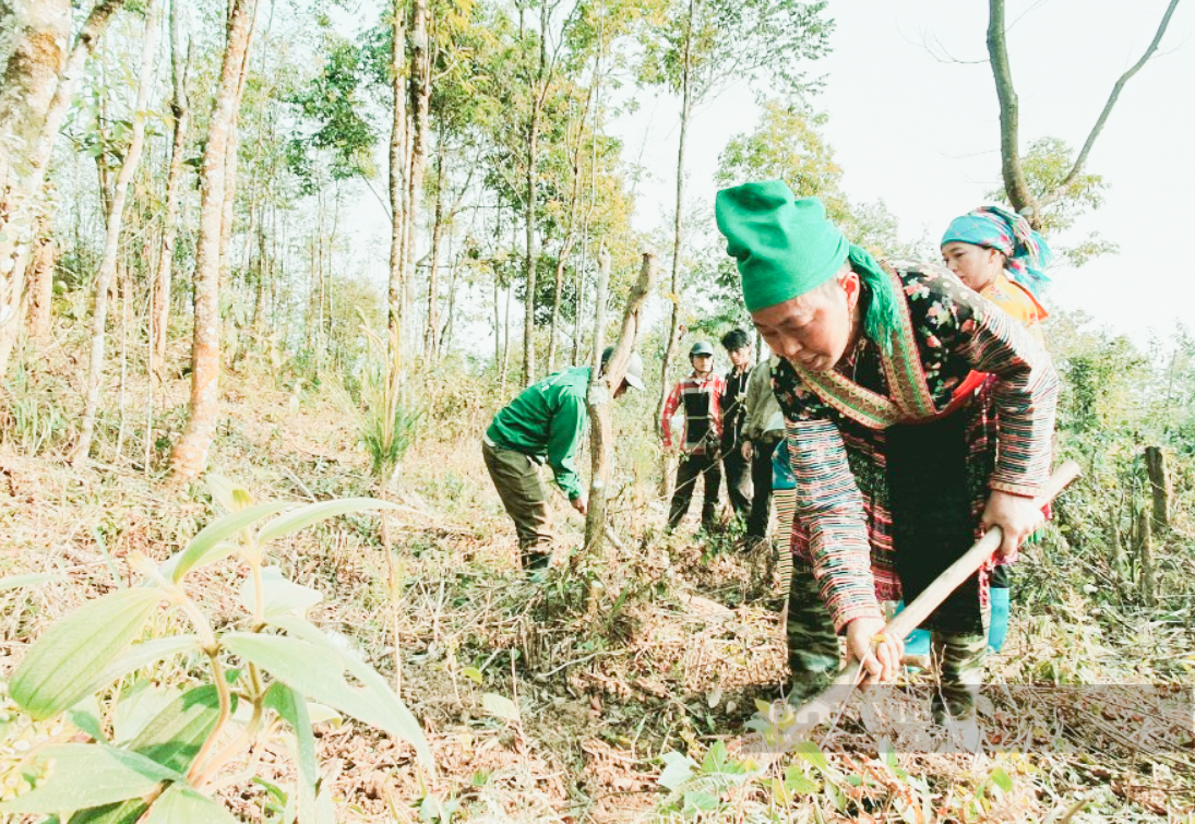 Trồng mới, bảo vệ rừng đầu nguồn, xử lý rác thải, phát triển nông nghiệp hữu cơ - Ảnh 1.