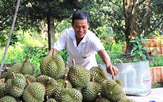 Trồng lan rừng đẹp như phim, lan đột biến Dendro chớp, trai Tiền Giang giàu lên, cả làng phục lăn - Ảnh 4.