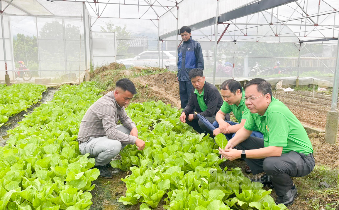 Trồng mới, bảo vệ rừng đầu nguồn, xử lý rác thải, phát triển nông nghiệp hữu cơ - Ảnh 3.