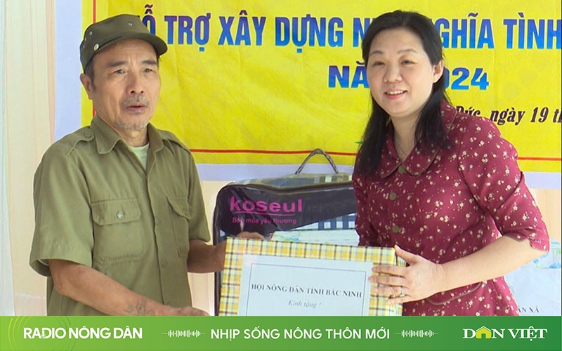 Nhịp sống nông thôn mới ngày 22/11/2024 - Ảnh 1.