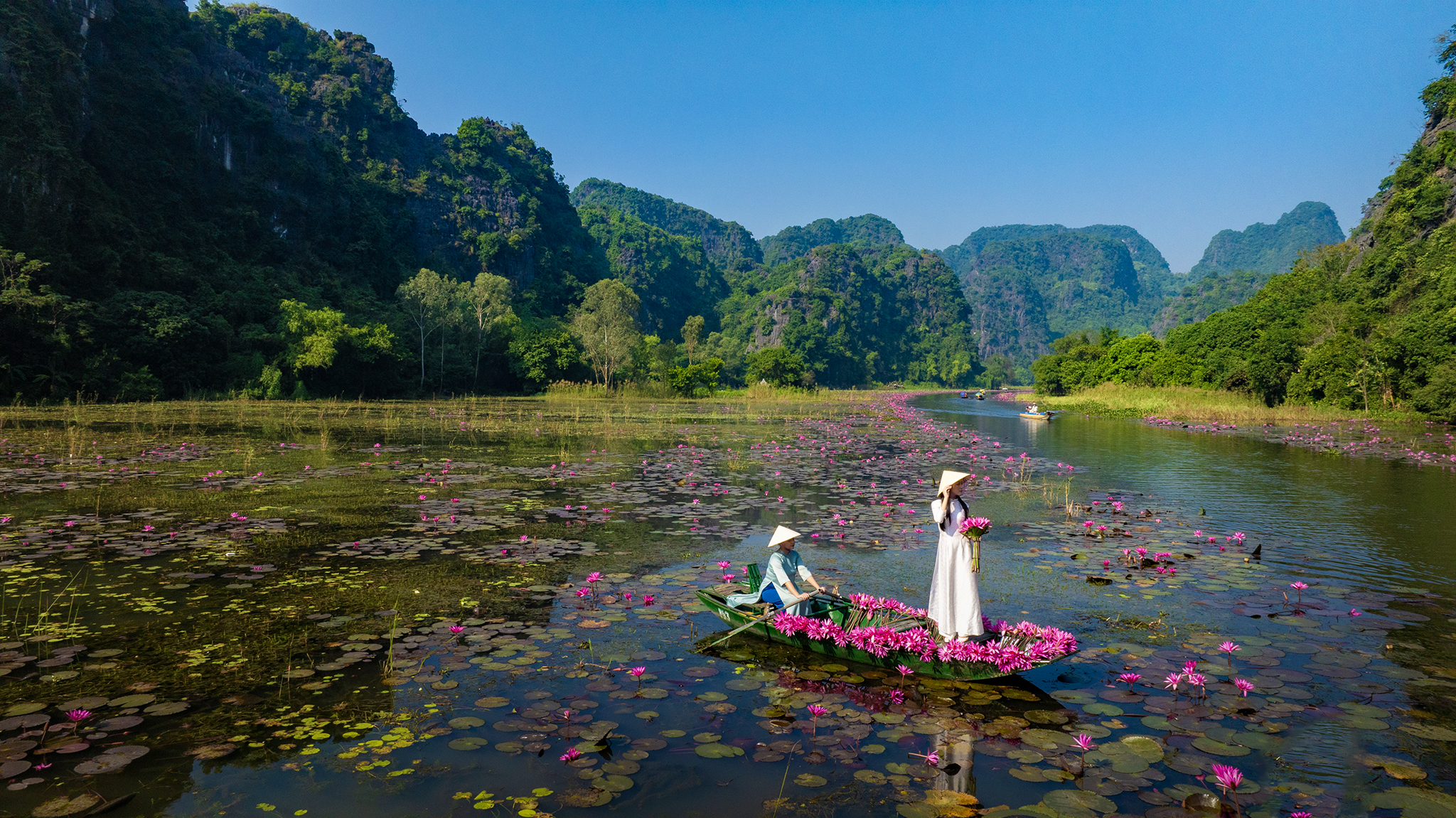 Tam Cốc đẹp nao lòng mùa hoa súng - Ảnh 5.