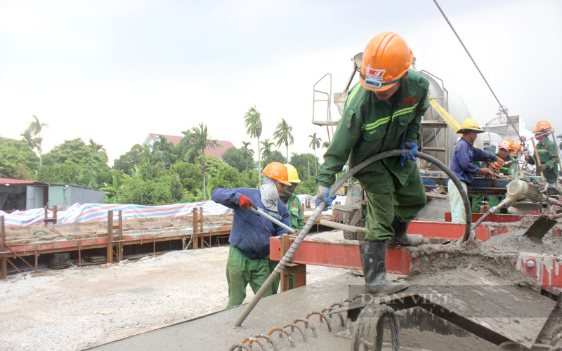 Hội Nông dân Bình Dương thực hiện tốt Quyết định số 81 của Thủ tướng Chính phủ- Ảnh 2.