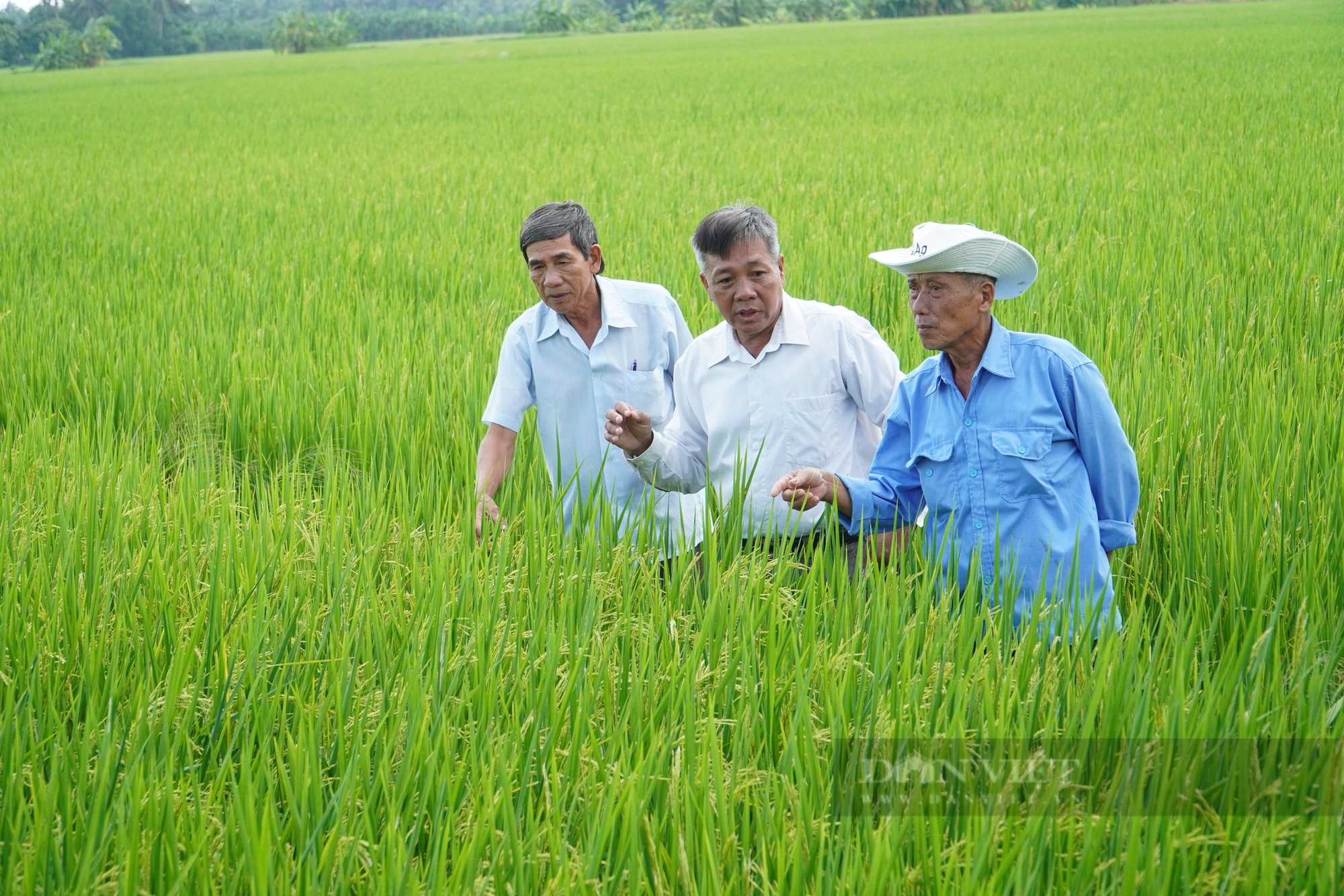 Viện trưởng Viện Chiến lược, Chính sách tài nguyên môi trường: Nông dân cần được tiếp cận với nguồn tài chính xanh - Ảnh 3.