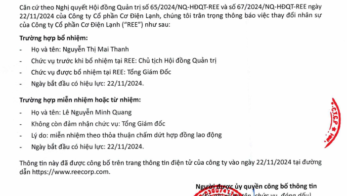 REE: "Nữ tướng" Mai Thanh rời ghế Chủ tịch HĐQT, quỹ ngoại Platium Victory muốn nâng sở hữu  lên hơn 42% vốn- Ảnh 1.