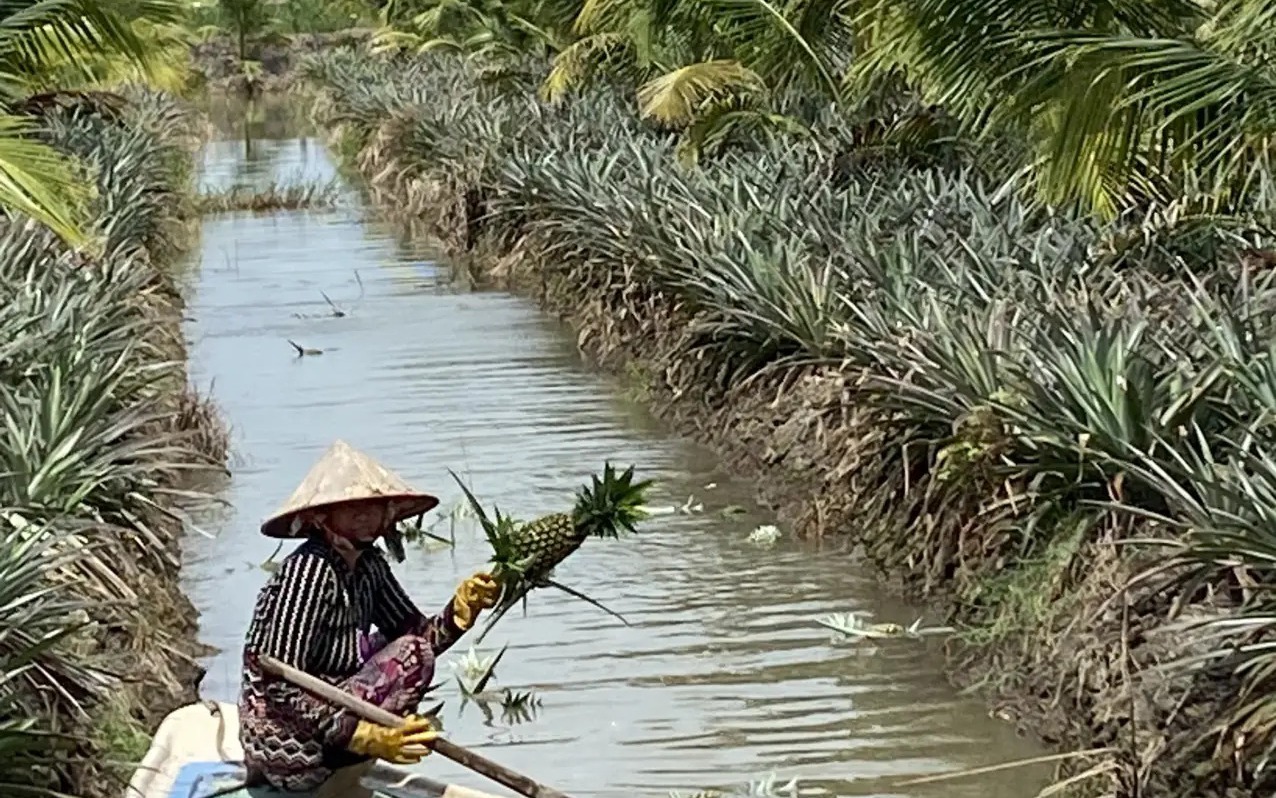 Yêu cây cối, anh nông dân Thái Nguyên tạo không gian sống xanh khiến ai đặt chân đến đều mê - Ảnh 5.