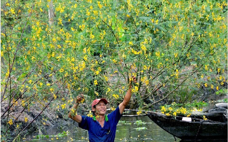 Đường hoa nông thôn mới ở Trà Vinh, chăm sóc tốt đẹp như phim, bỏ bẵng thành đường rậm, nhếch nhác - Ảnh 4.