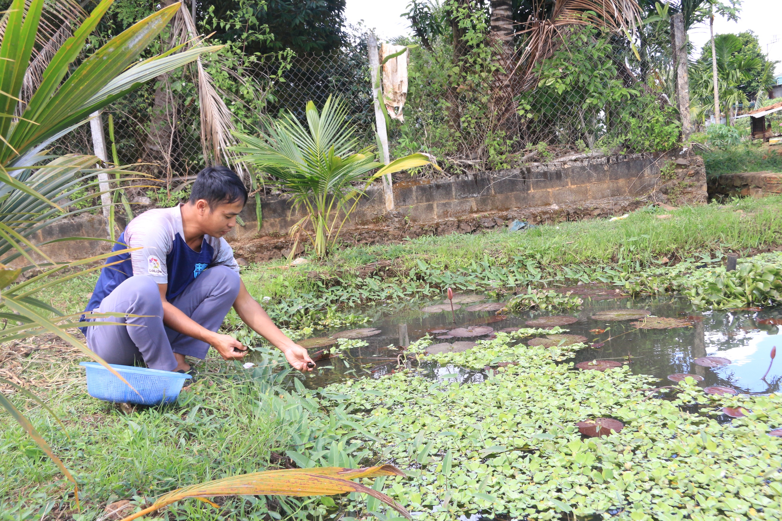 Biến ốc nhồi thành đặc sản, hai thanh niên thu hơn nửa trăm triệu đồng mỗi tháng - Ảnh 1.