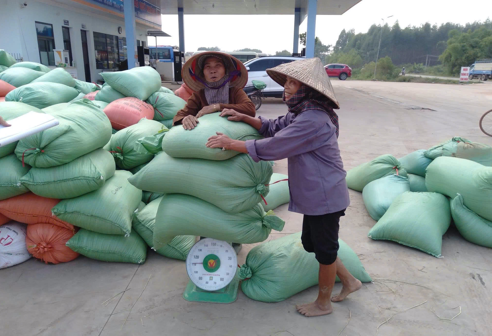 Trưởng thôn xã miền núi của tỉnh Bắc Giang “miệng nói tay làm” khéo vận động nông dân trồng lúa thân thiện với môi trường- Ảnh 5.