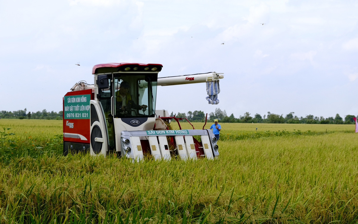 Đề xuất bố trí đủ nhân lực, nguồn vốn cho Đề án 1 triệu ha lúa chất lượng cao, phát thải thấp - Ảnh 3.