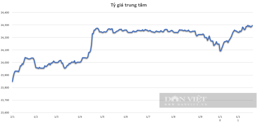 Giá USD hôm nay 24/11: Chưa dứt đà tăng, ngân hàng duy trì trên ngưỡng 25.500 VND/USD- Ảnh 2.