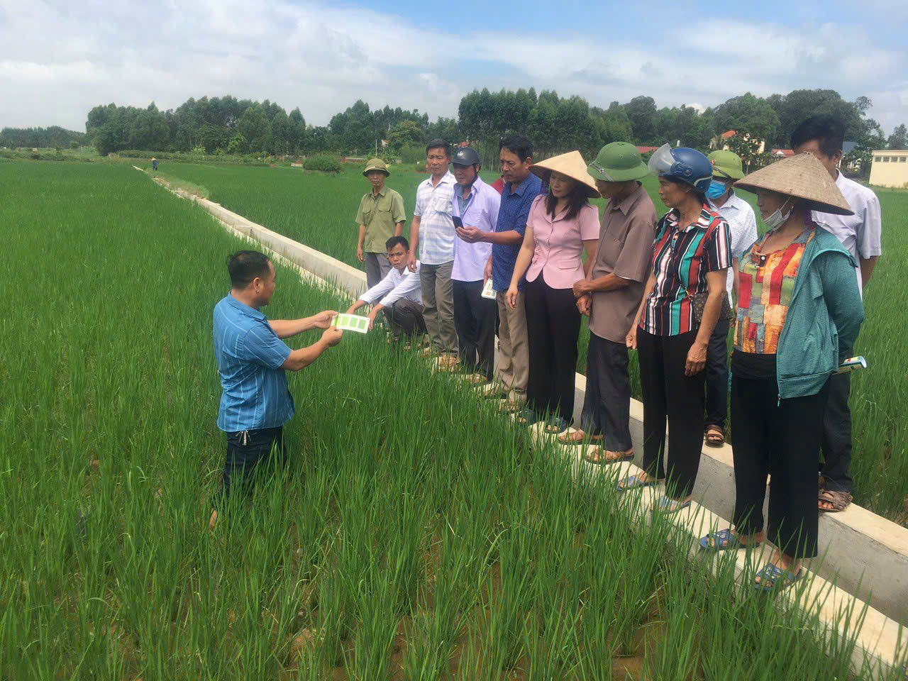 Trưởng thôn xã miền núi của tỉnh Bắc Giang “miệng nói tay làm” khéo vận động nông dân trồng lúa thân thiện với môi trường- Ảnh 2.