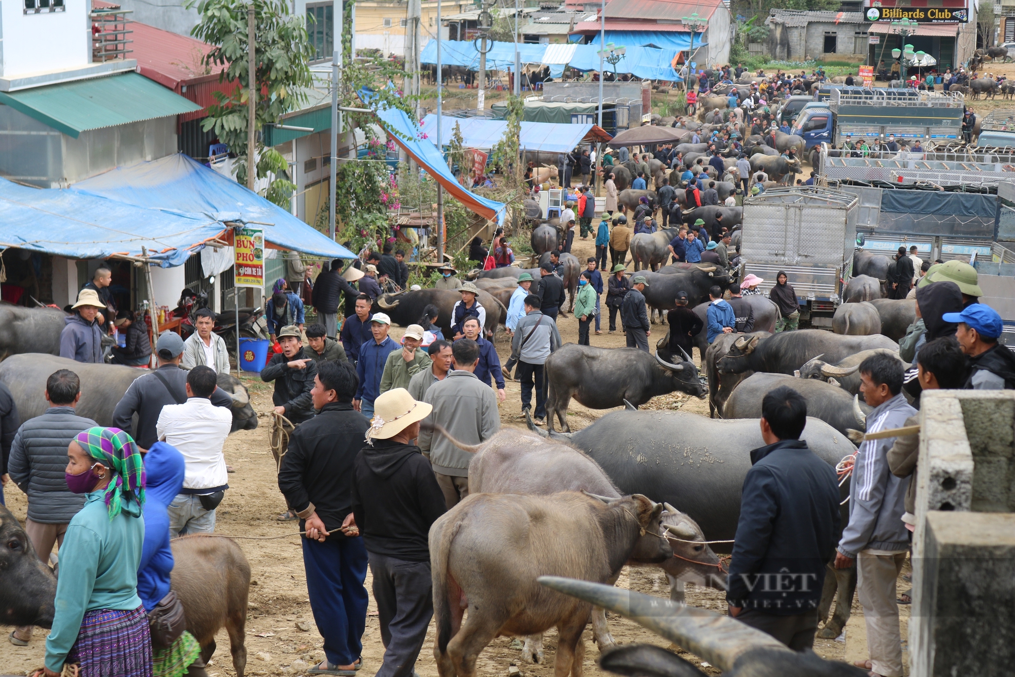 Nhộn nhịp chợ trâu lớn nhất vùng Tây Bắc - Ảnh 40.