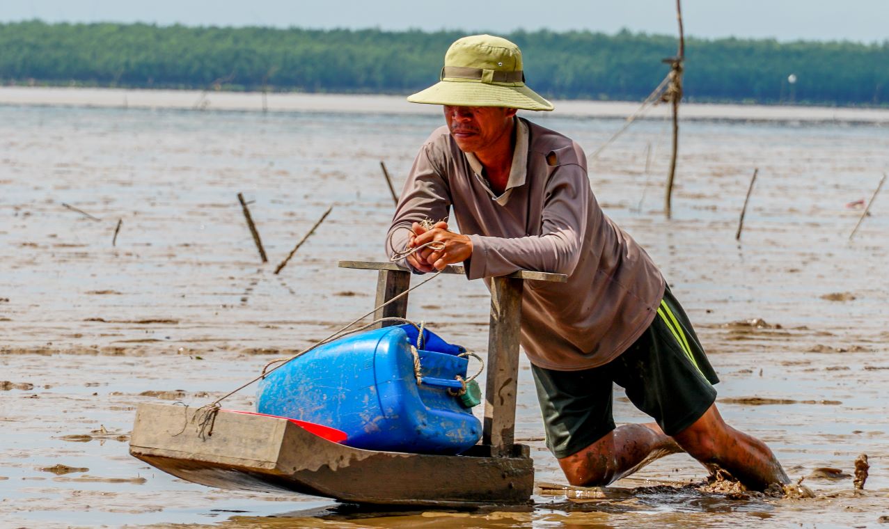 Bắt cá kiểu lạ tại một bãi biển sình lầy ở Sóc Trăng, dân dùng thứ này trượt vèo vèo- Ảnh 2.