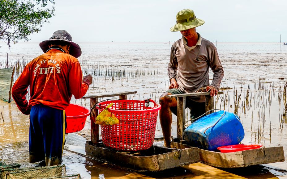 Bắt cá kiểu lạ tại một bãi biển sình lầy ở Sóc Trăng, dân dùng thứ này trượt vèo vèo- Ảnh 6.