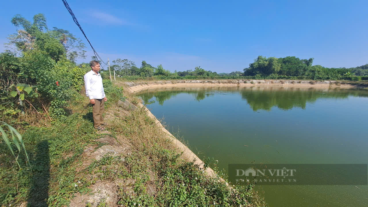 Bí quyết giúp một nông dân ở Thái Nguyên có thu nhập hàng trăm triệu đồng mỗi năm từ nuôi gà thả đồi - Ảnh 5.