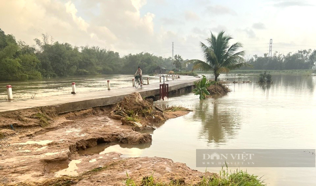 Sụp bể tan hoang nhiều đoạn đường bờ kè sông Trà Câu của Quảng Ngãi sau đợt mưa lũ- Ảnh 7.