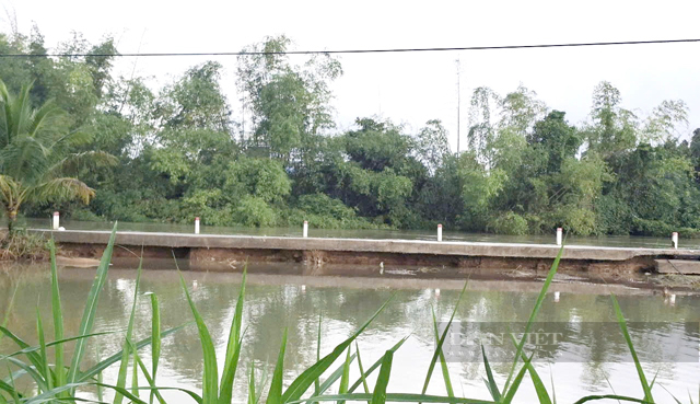 Sụp bể tan hoang nhiều đoạn đường bờ kè sông Trà Câu của Quảng Ngãi sau đợt mưa lũ- Ảnh 4.