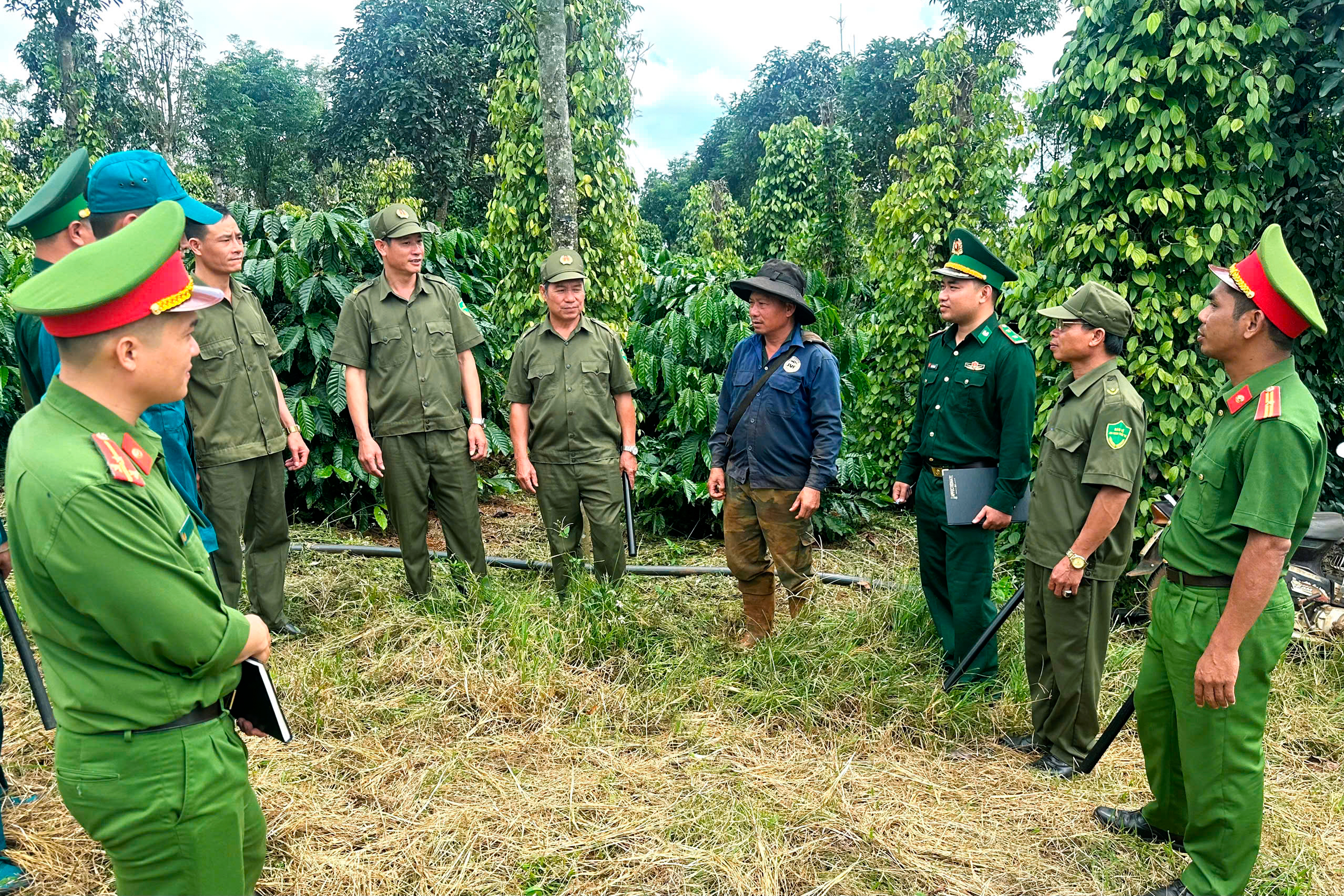 Đắk Nông siết chặt an ninh mùa cà phê: Ngăn chặn trộm cắp, bảo vệ mùa vụ - Ảnh 3.