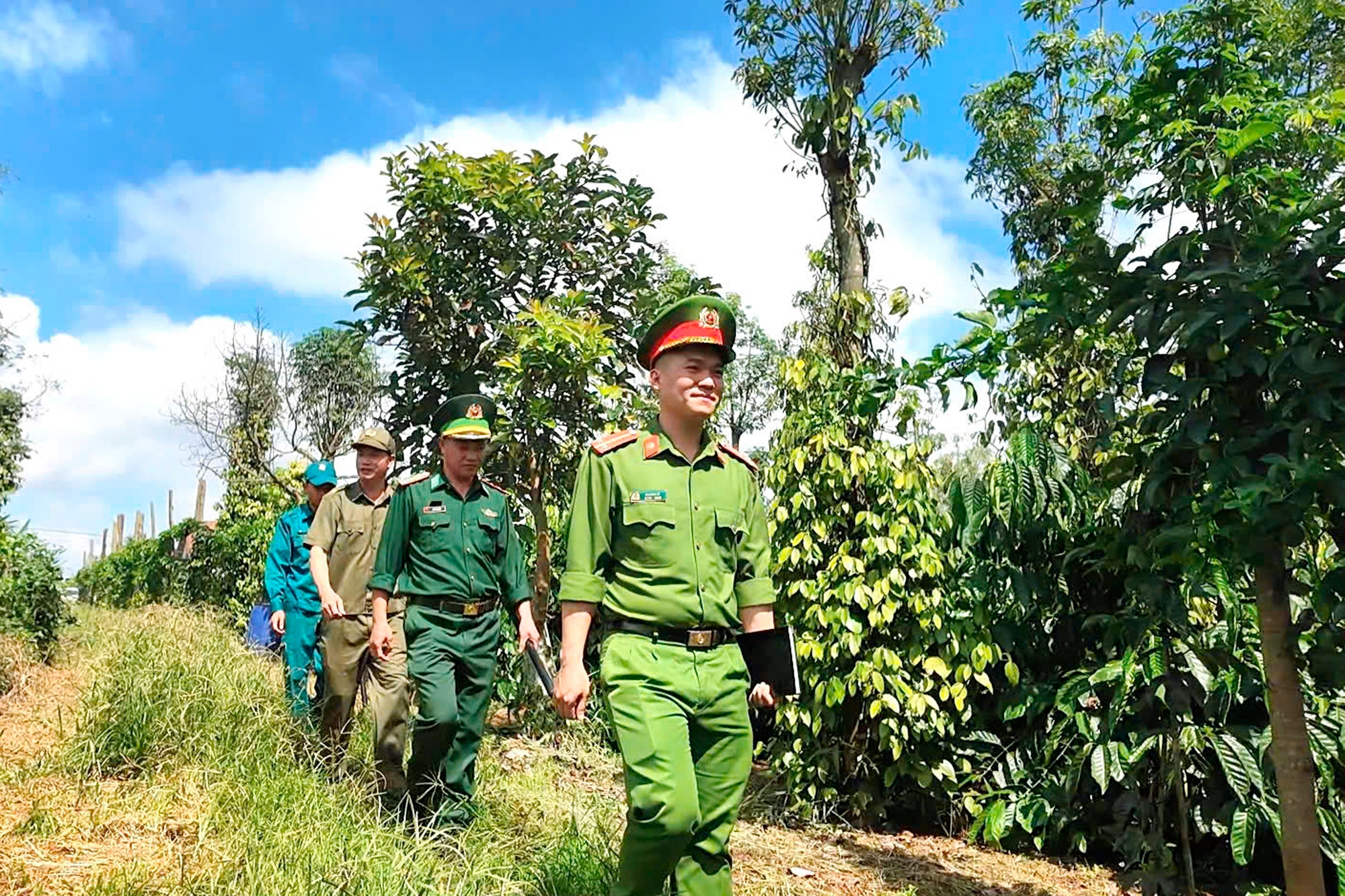 Đắk Nông siết chặt an ninh mùa cà phê: Ngăn chặn trộm cắp, bảo vệ mùa vụ - Ảnh 1.