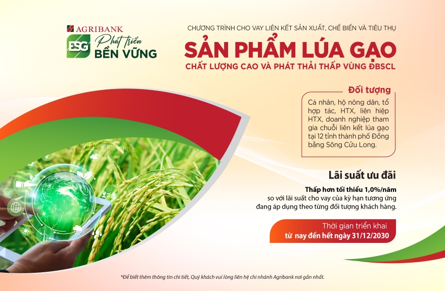 Agribank cho vay liên kết sản xuất, chế biến và tiêu thụ sản phẩm lúa gạo chất lượng cao và phát thải thấp vùng ĐBSCL - Ảnh 1.