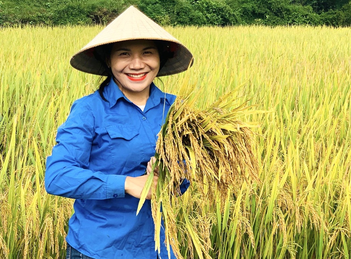 Đột phá số lượng, sâu sắc nội dung, tôn vinh ngòi bút viết nên khát vọng nông nghiệp, nông dân, nông thôn Việt Nam  - Ảnh 6.